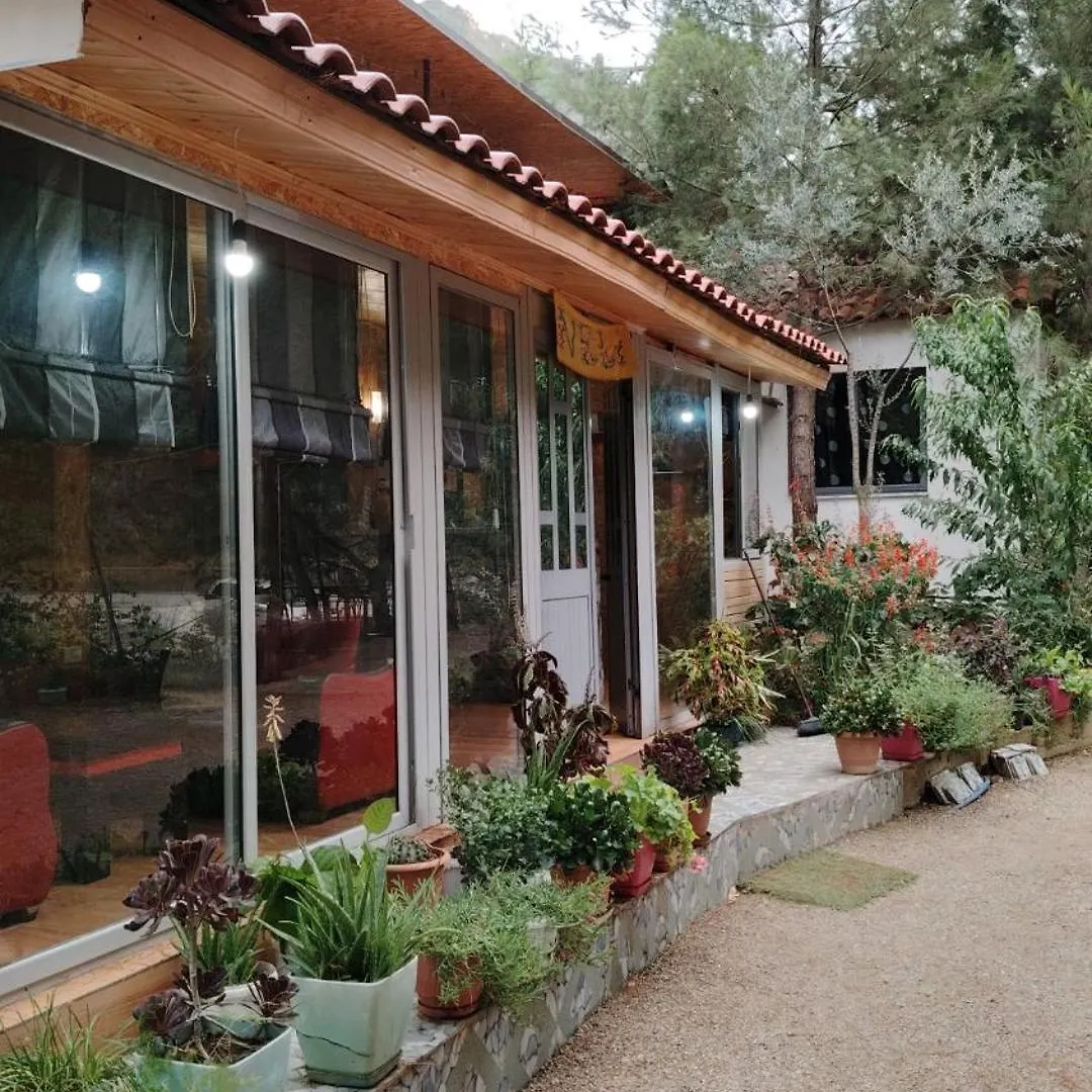 Bovilla Canyon Tirana Hotel